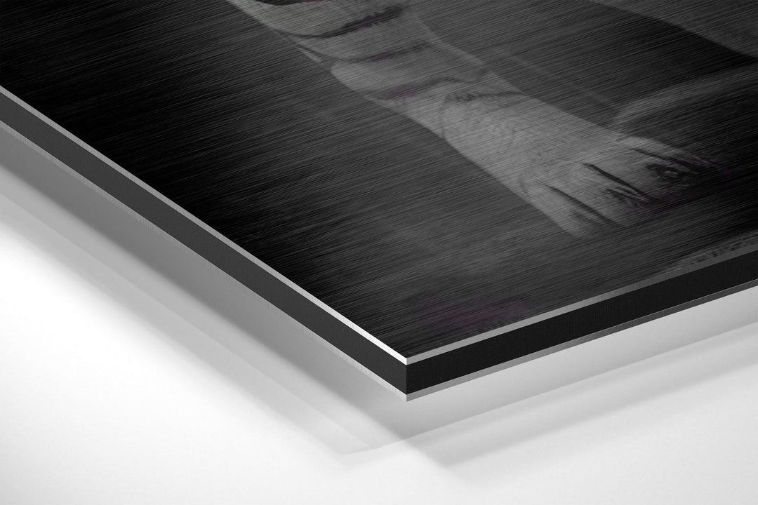 Anger of Tiger Brushed Aluminum Dibond Wall Art.