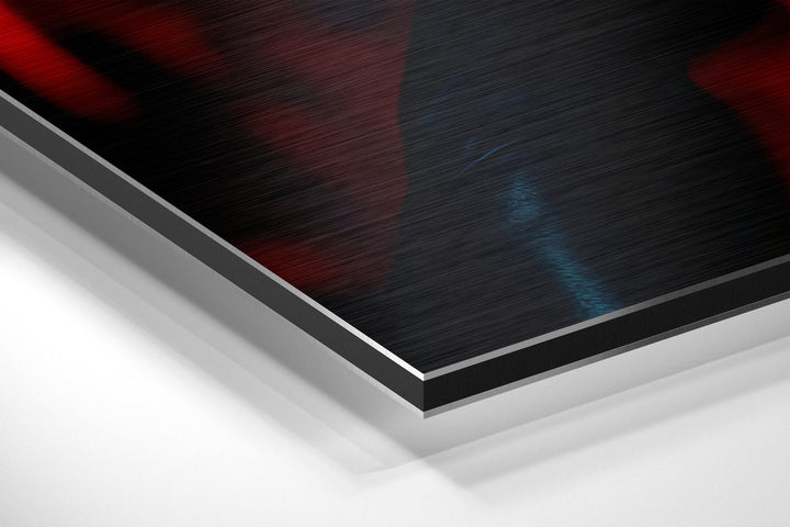 Woman Brushed Aluminum Dibond Wall Art.