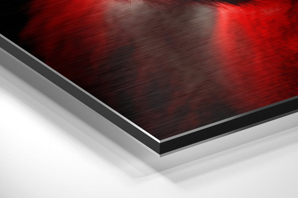 Wise Monkey Brushed Aluminum Dibond Wall Art.