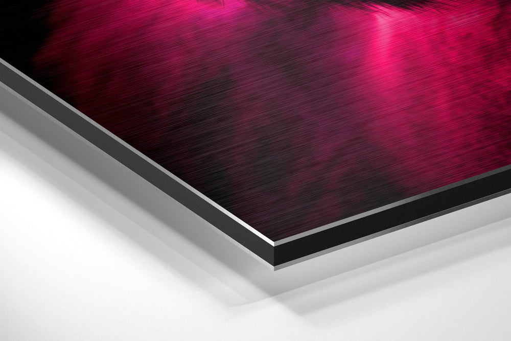 Wise Monkey Brushed Aluminum Dibond Wall Art.