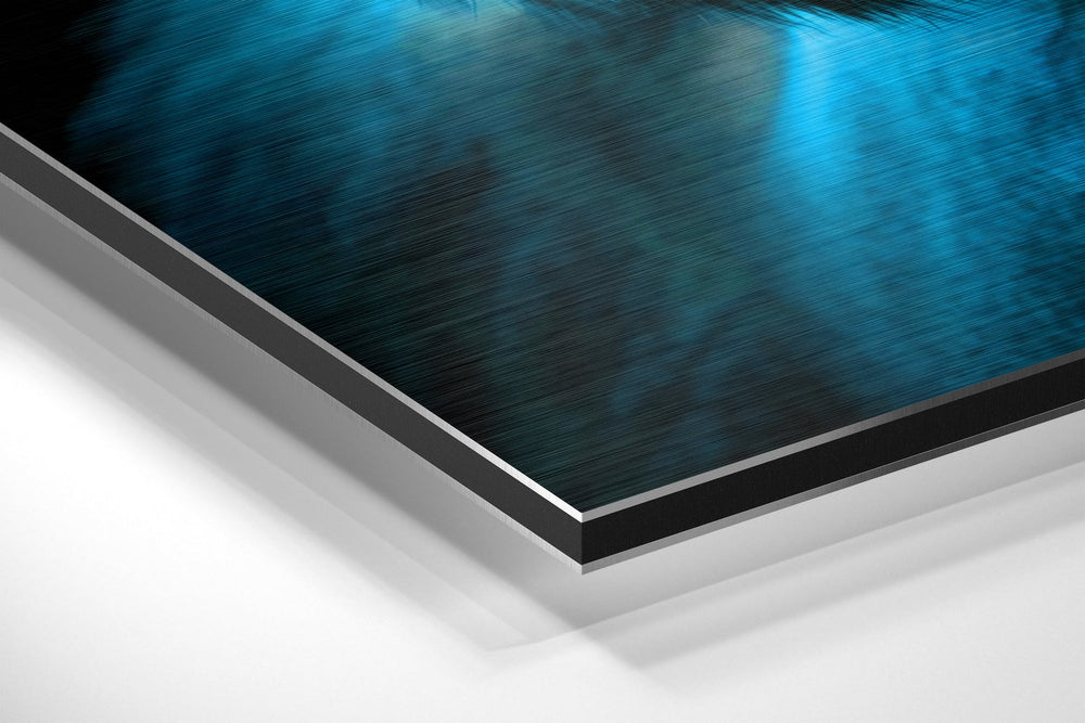 Wise Monkey Brushed Aluminum Dibond Wall Art.