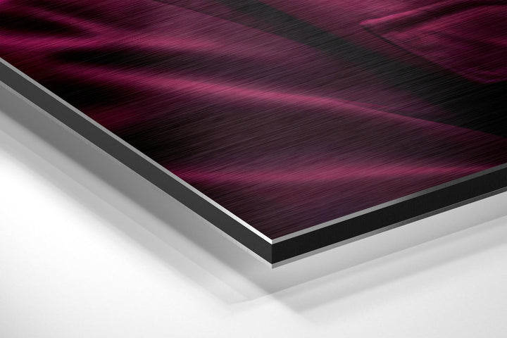 Cool Monkey Brushed Aluminum Dibond Wall Art.