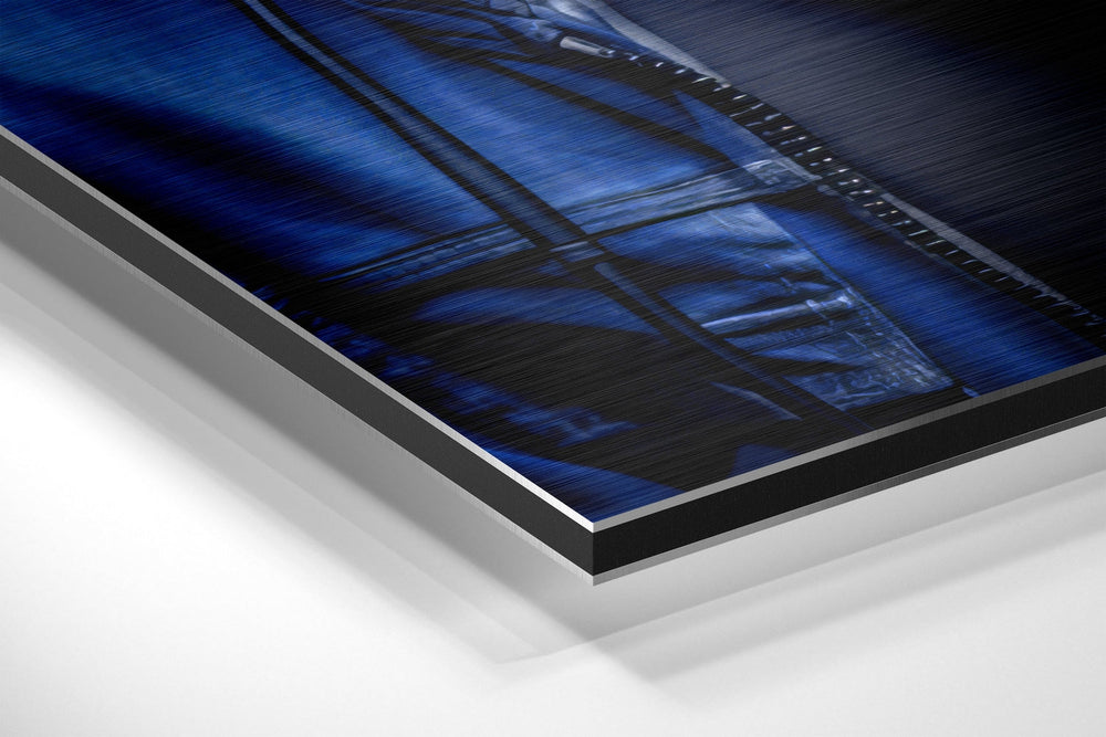 Age of Apes Brushed Aluminum Dibond Wall Art.