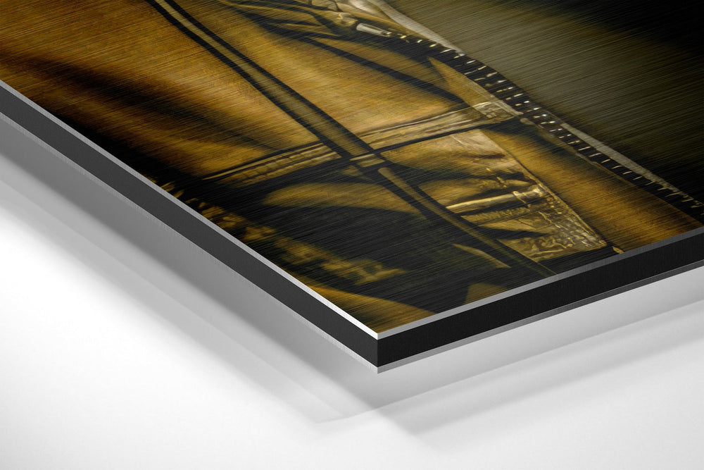 Age of Apes Brushed Aluminum Dibond Wall Art.