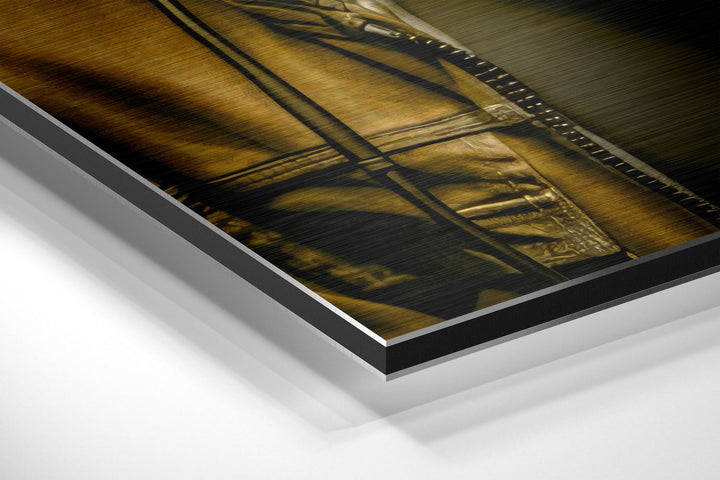 Age of Apes Brushed Aluminum Dibond Wall Art.