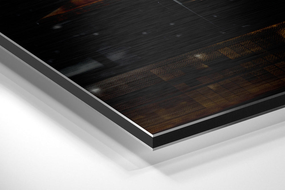 Einstein Brushed Aluminum Dibond Wall Art.