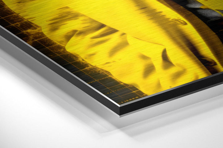 Einstein - I Told You Brushed Aluminum Dibond Wall Art.