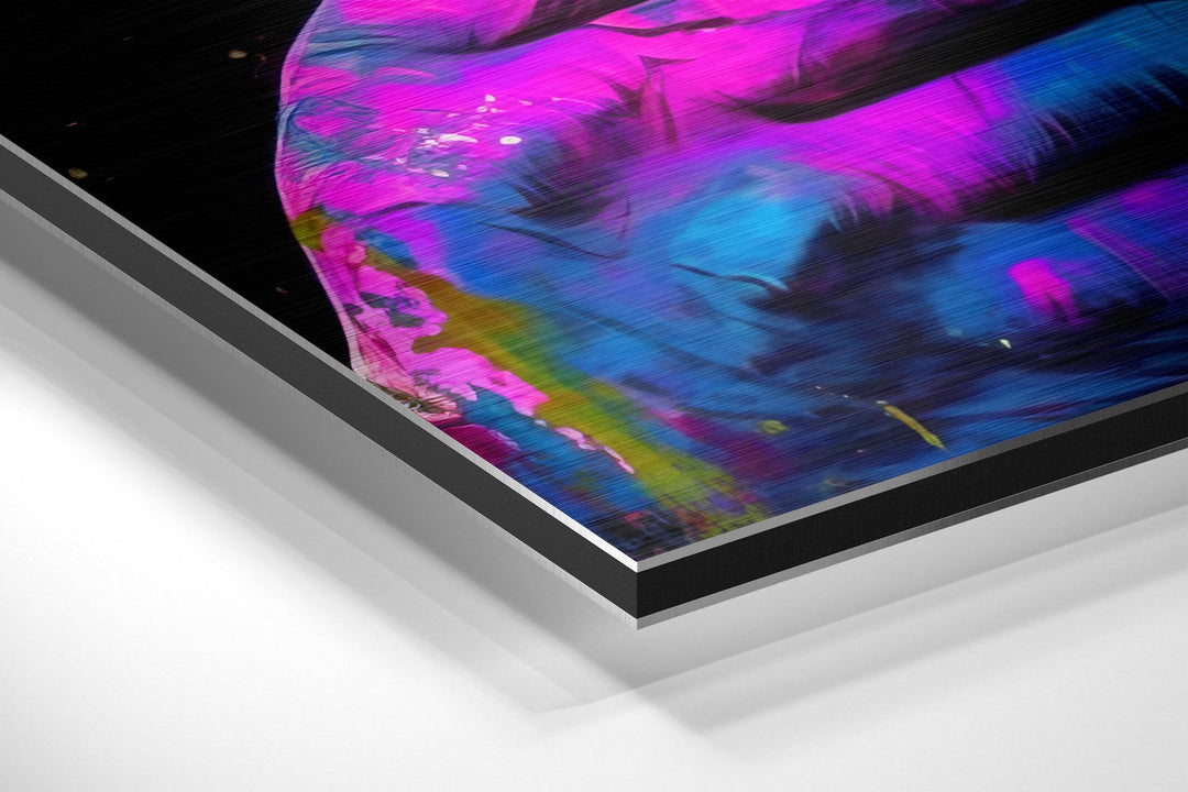 Monkey Kiss Brushed Aluminum Dibond Wall Art.