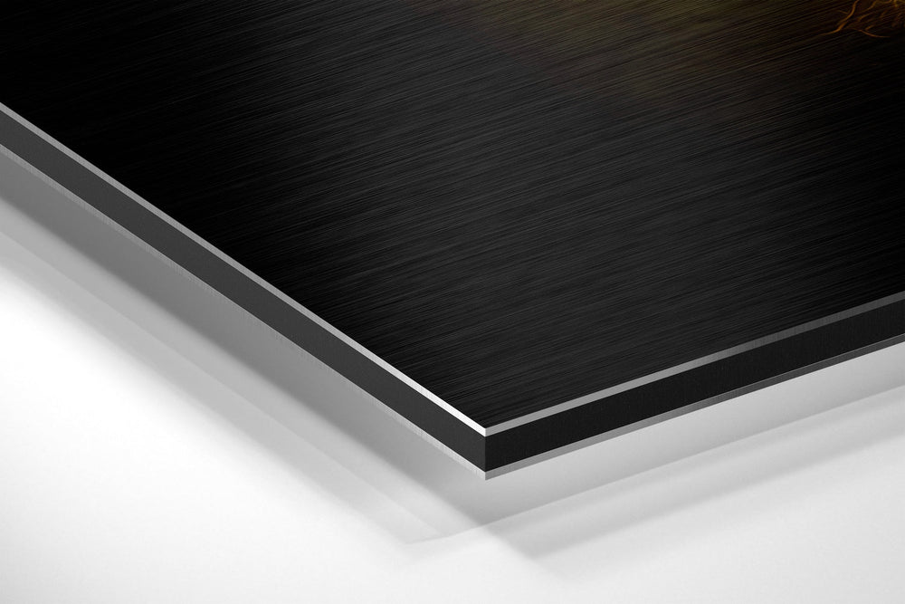Ying Yang Brushed Aluminum Dibond Wall Art.