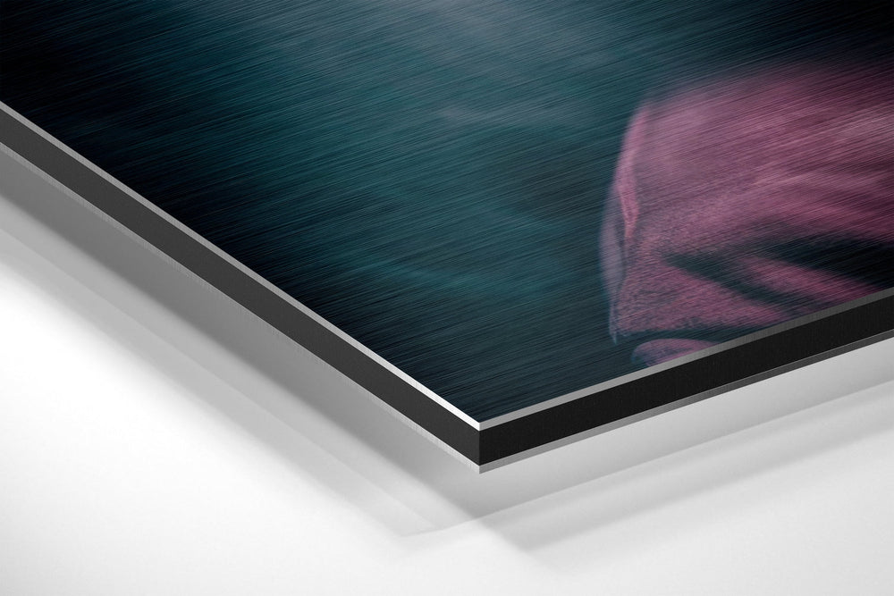 Tupac Brushed Aluminum Dibond Wall Art.