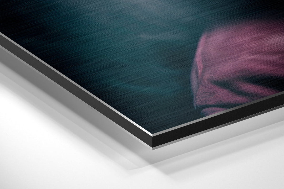 Tupac Brushed Aluminum Dibond Wall Art.