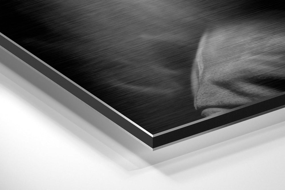 Tupac Brushed Aluminum Dibond Wall Art.