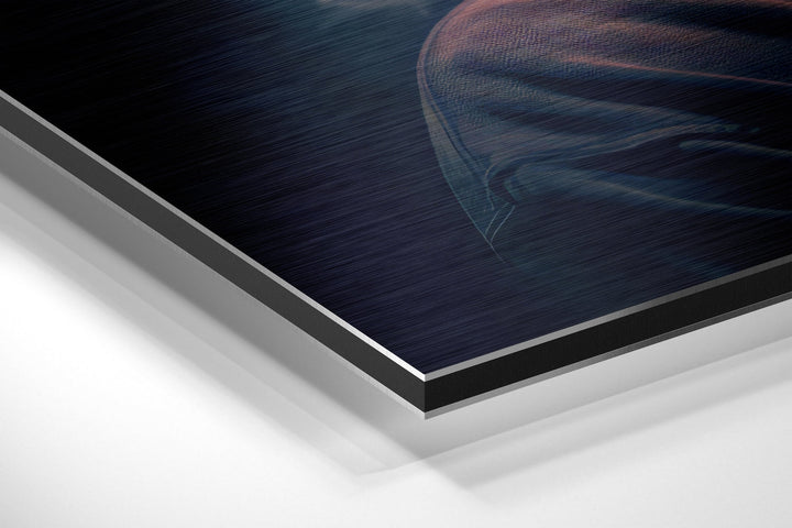 Tupac Brushed Aluminum Dibond Wall Art.