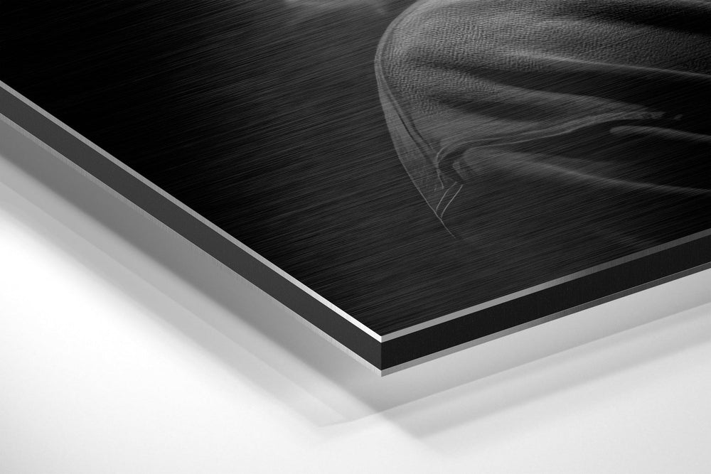 Tupac Brushed Aluminum Dibond Wall Art.