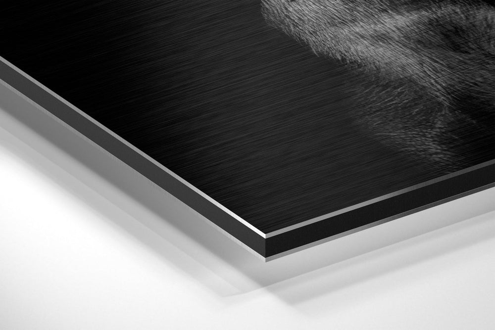 Dog and Gun Brushed Aluminum Dibond Wall Art.