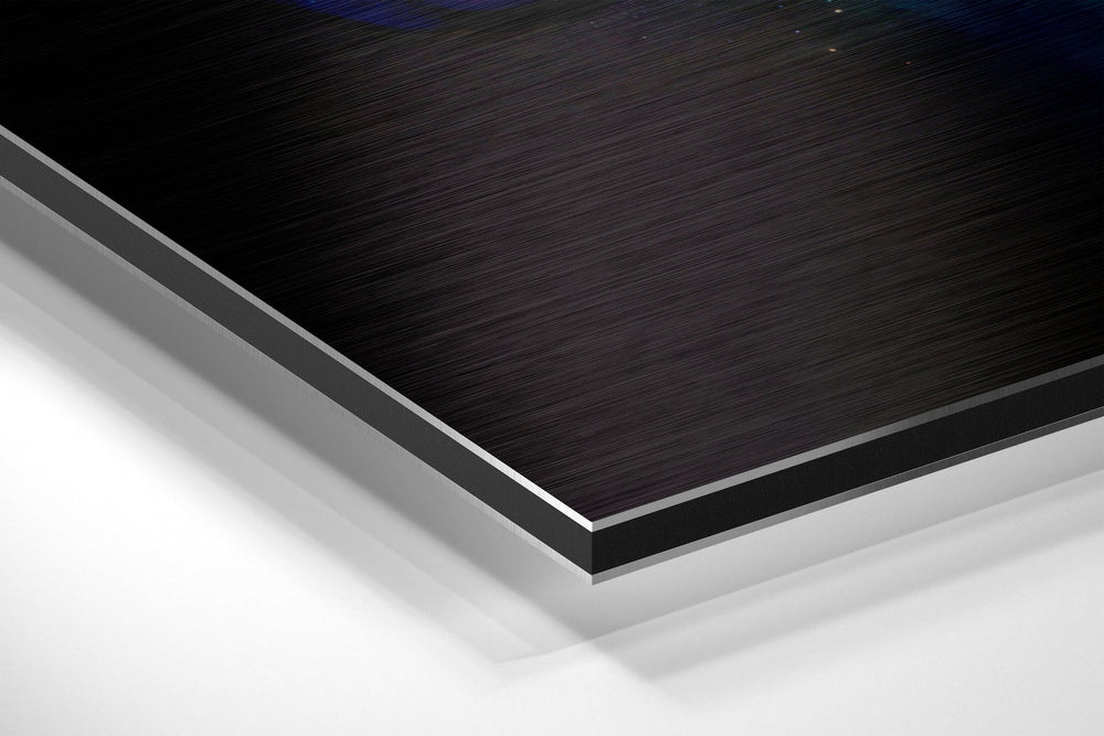 Zebra Brushed Aluminum Dibond Wall Art.
