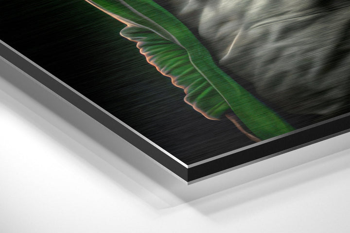 Anger of the Ape Brushed Aluminum Dibond Wall Art.