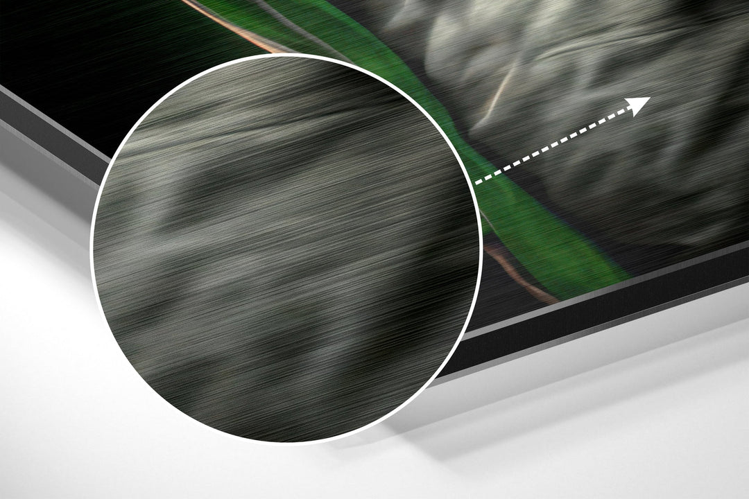 Anger of the Ape Brushed Aluminum Dibond Wall Art.