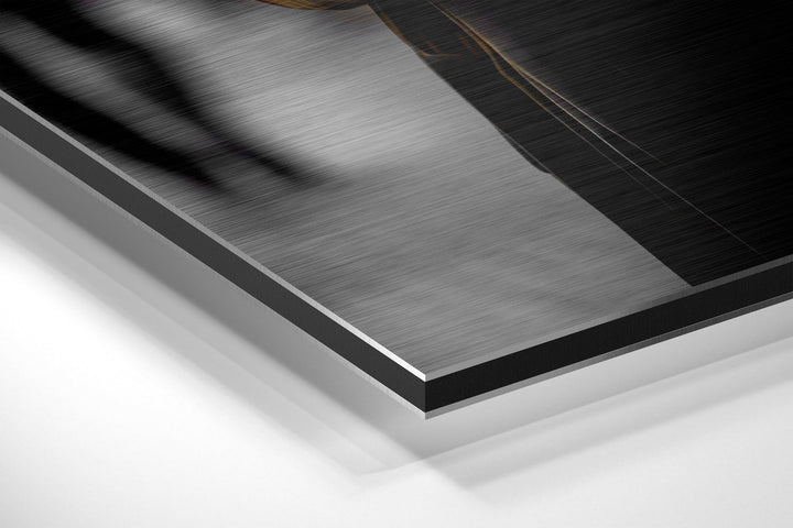 Black Panther Brushed Aluminum Dibond Wall Art.