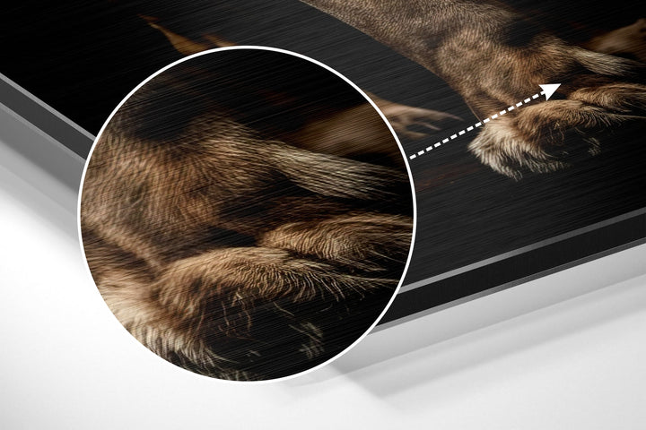 Lion Brushed Aluminum Dibond Wall Art.