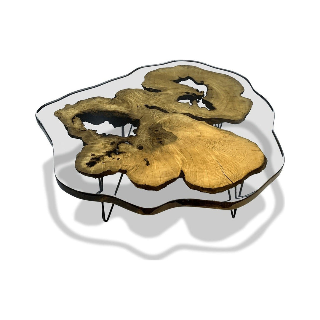 Amorphous Ashwood Coffee Table Arditi Collection