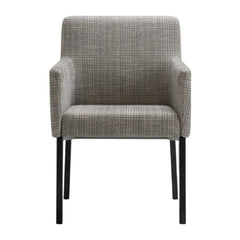 Anne II Dining Armchair — product (Taji-enlarged)