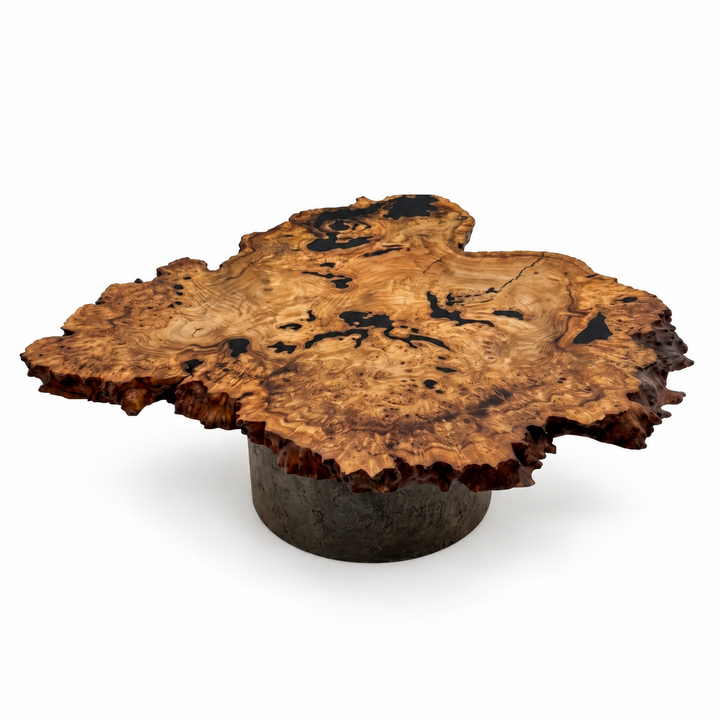 Arditi Echidna elm wood and black resin coffee table with organic live-edge top and antique-bronze base on a white background, studio view