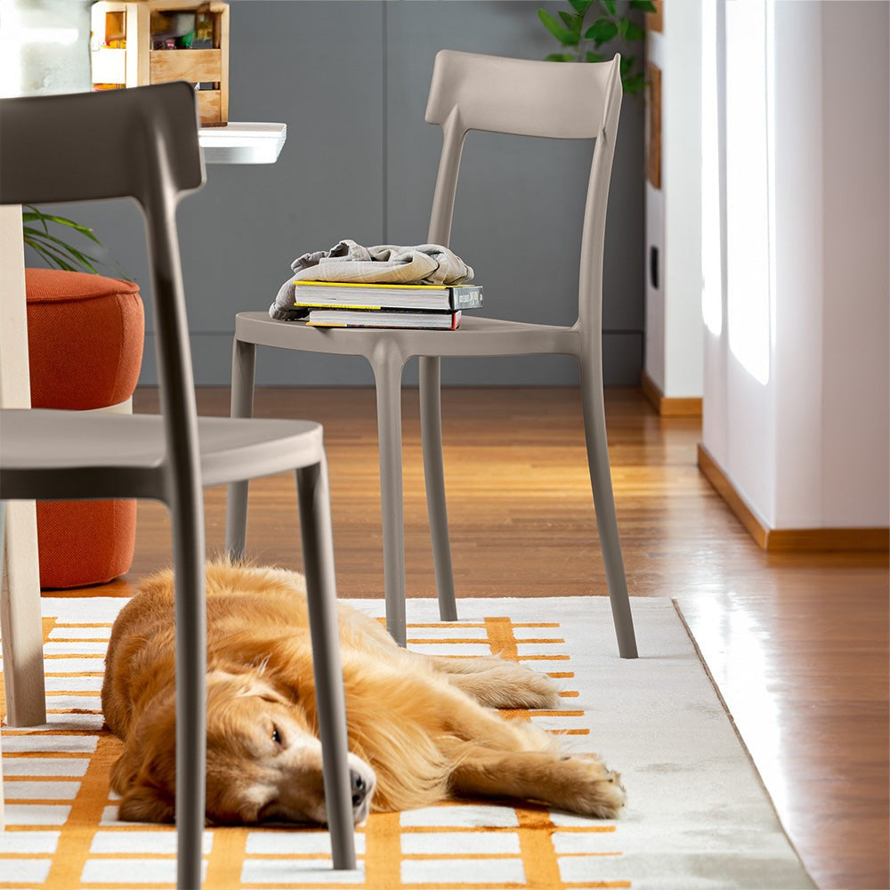 Argo Dining Chair by Connubia in a styled interior