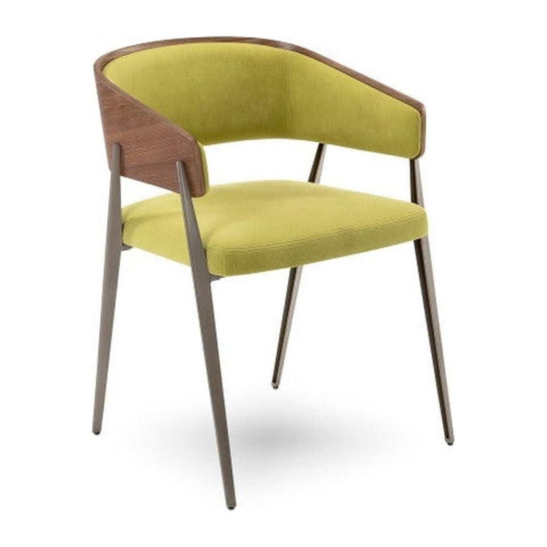 Aria Dining Chair Elite Modern