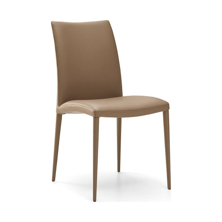 Asia Dining Chair — product (square fill)