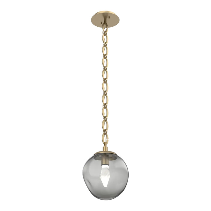 Aster Pendant by Hammerton Studio on Oval Chain