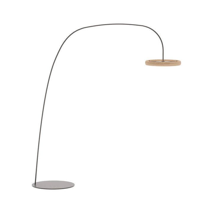 Astrum Floor Lamp — product (square fill)