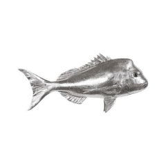 Australian Snapper Fish Wall Sculpture, Resin Phillips Collection