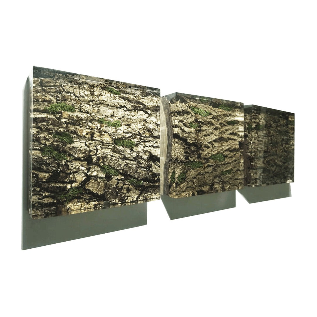Bark Wall Art Arditi Collection