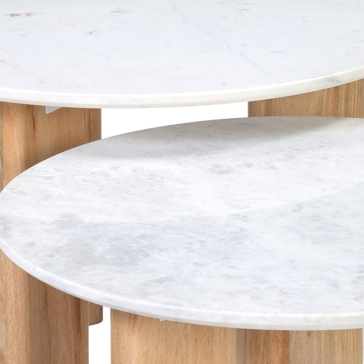 Brea Marble Coffee Tables - Set of 2, detail 1 view