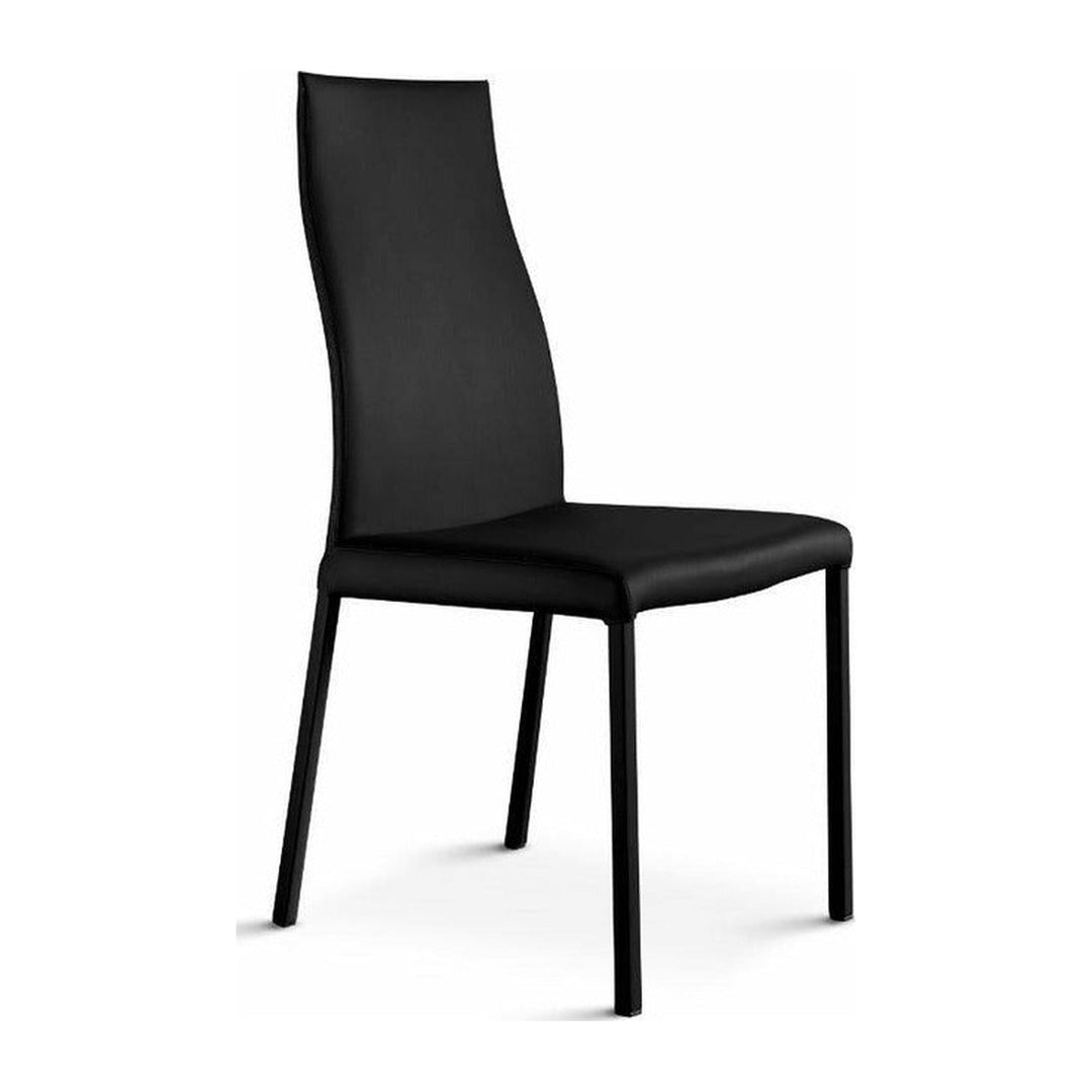 Blitz Dining Chair Ozzio Italia
