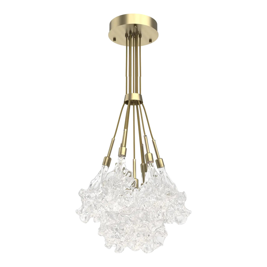 Blossom Cluster Bloom by Hammerton Studio in Heritage Brass with Clear Blossom glass (9 Lights)