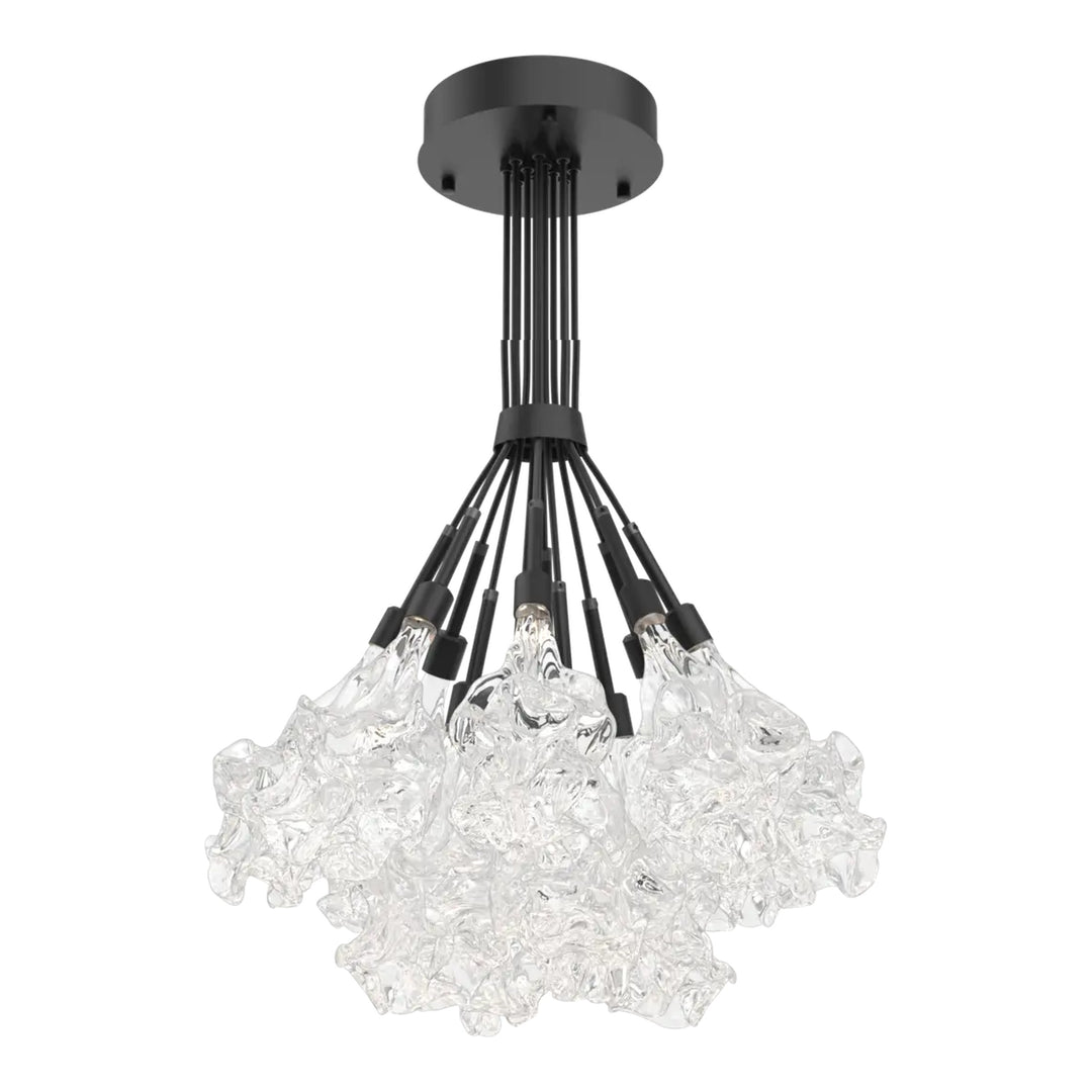 Blossom Cluster Bloom by Hammerton Studio in Matte Black with Clear Blossom glass (12 Lights)