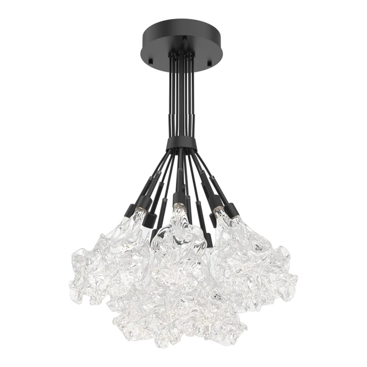 Blossom Cluster Bloom by Hammerton Studio in Matte Black with Clear Blossom glass (12 Lights)