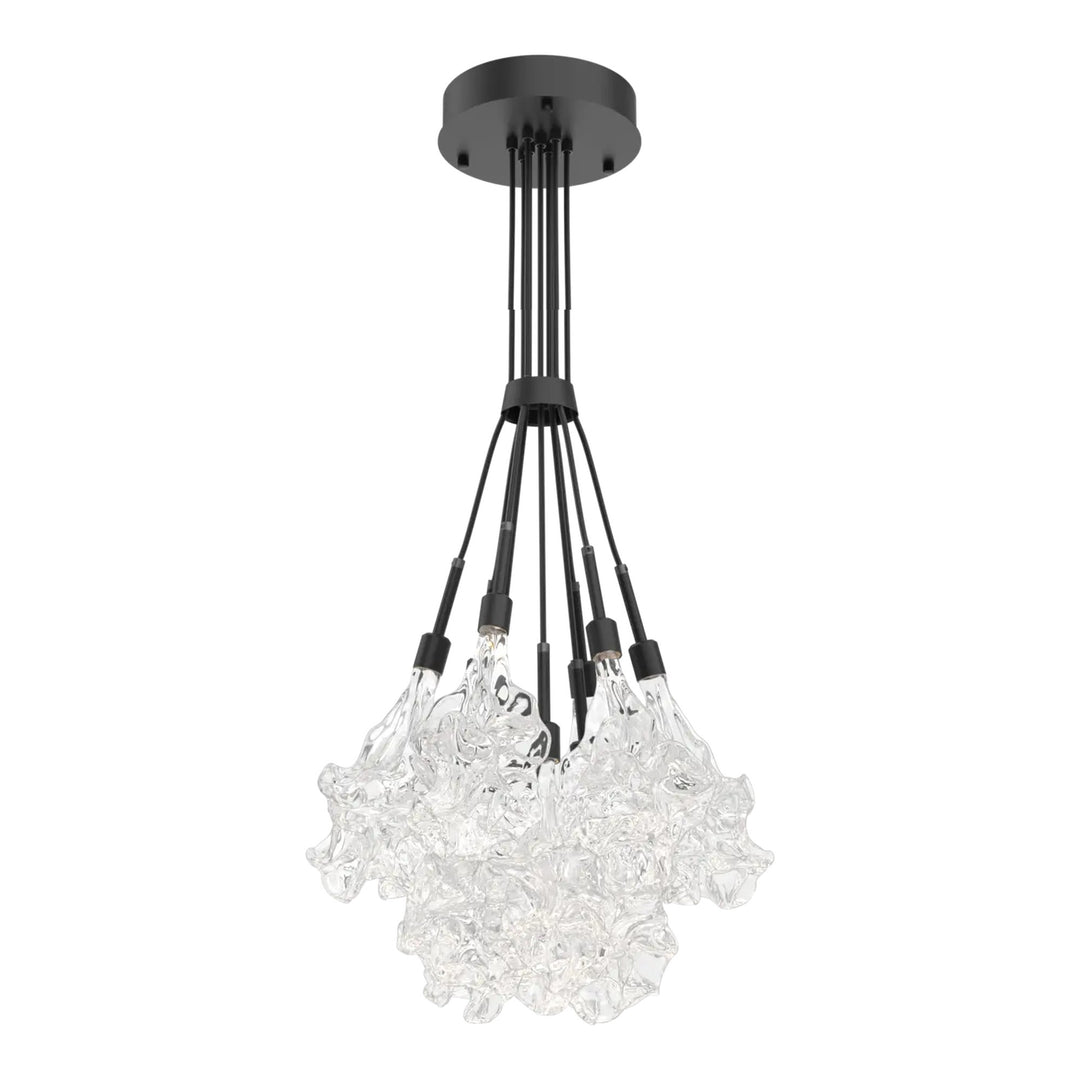 Blossom Cluster Bloom by Hammerton Studio in Matte Black with Clear Blossom glass (9 Lights)