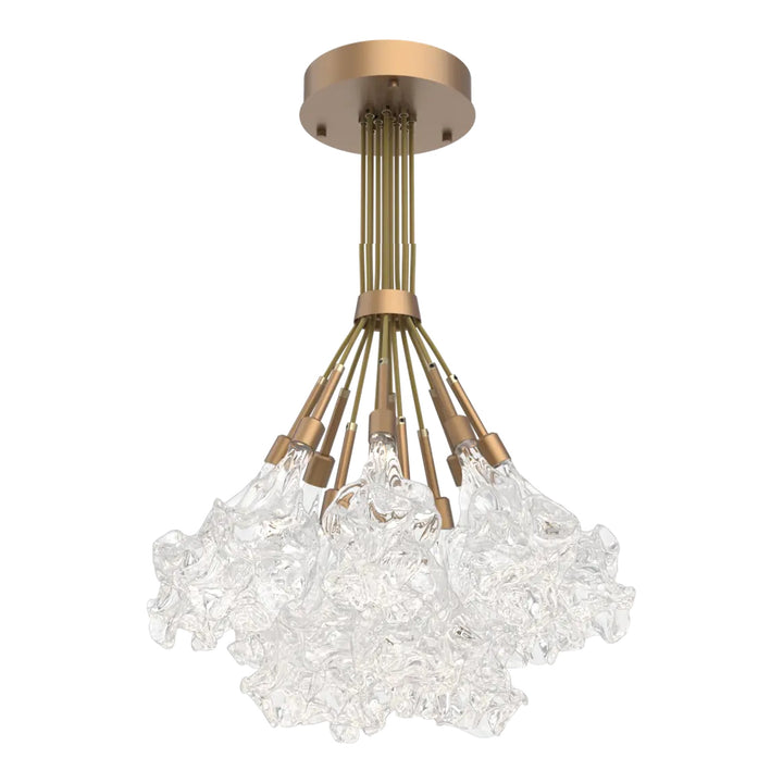 Blossom Cluster Bloom by Hammerton Studio in Novel Brass with Clear Blossom glass (12 Lights)