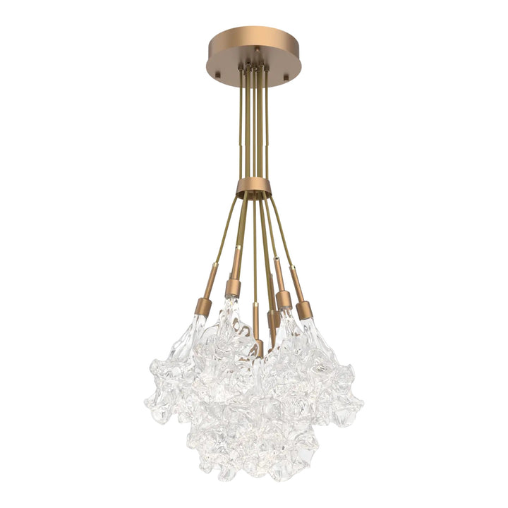 Blossom Cluster Bloom by Hammerton Studio in Novel Brass with Clear Blossom glass (9 Lights)