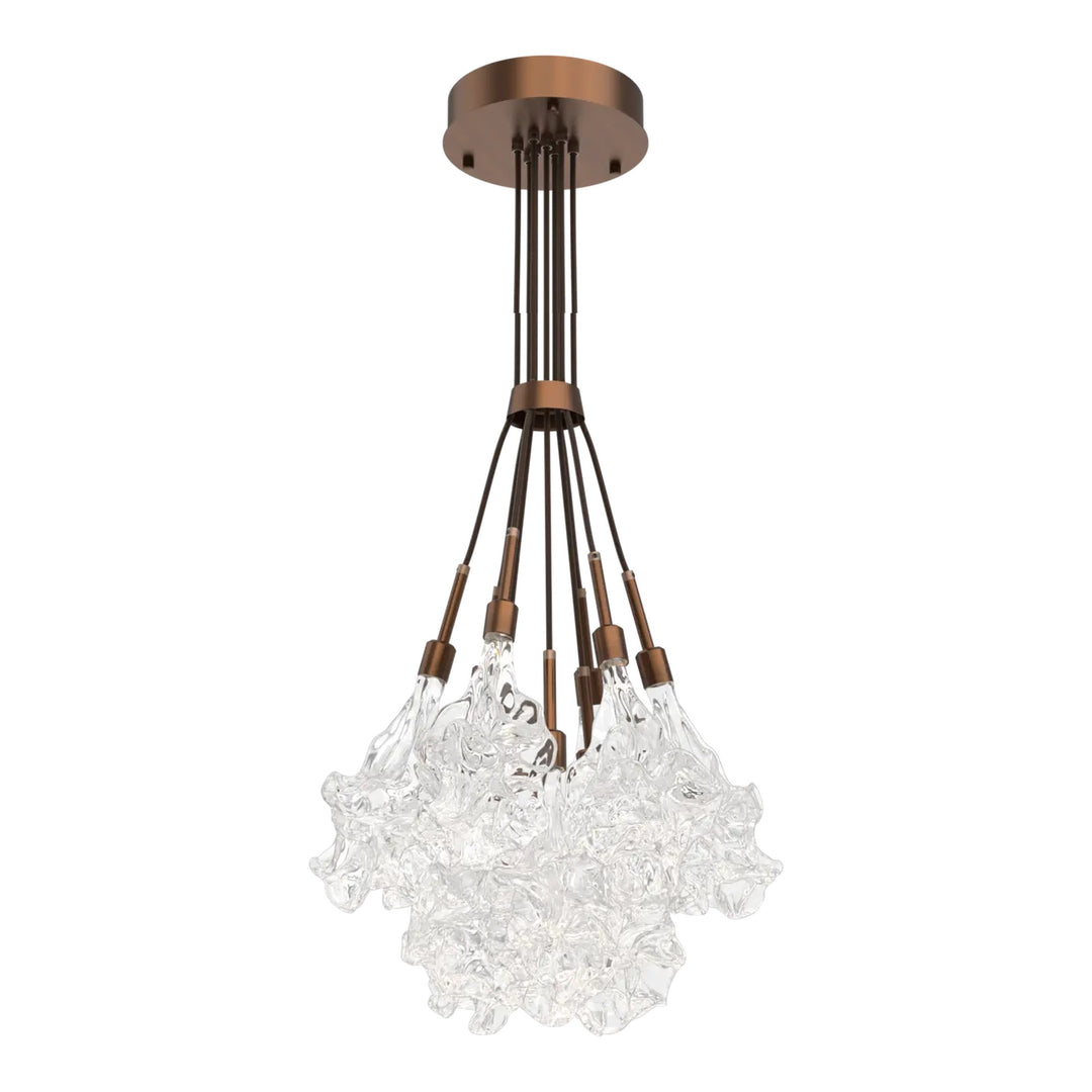 Blossom Cluster Bloom by Hammerton Studio in Oil-Rubbed Bronze with Clear Blossom glass (9 Lights)