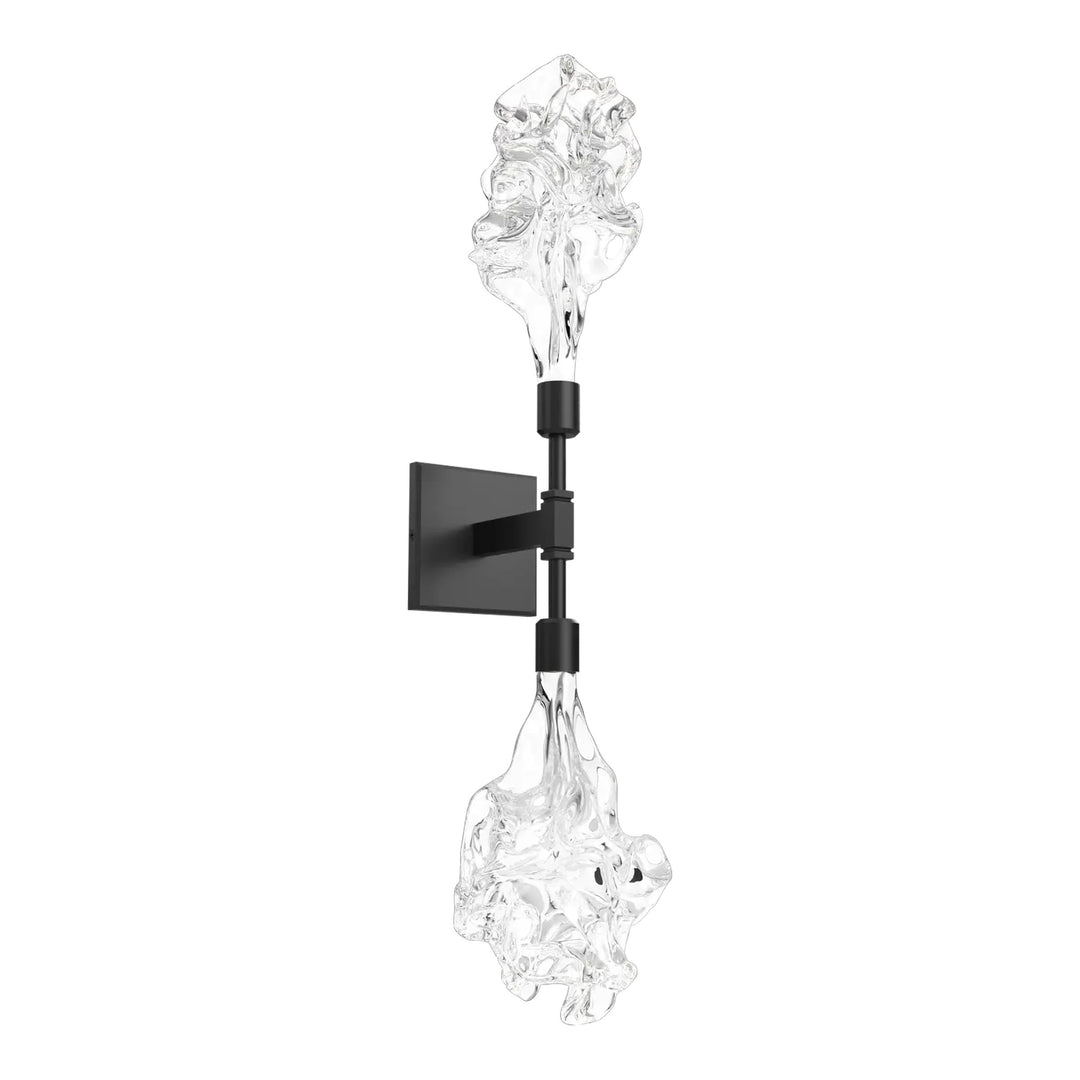 Blossom Double Sconce by Hammerton Studio in Matte Black with Clear Blossom glass