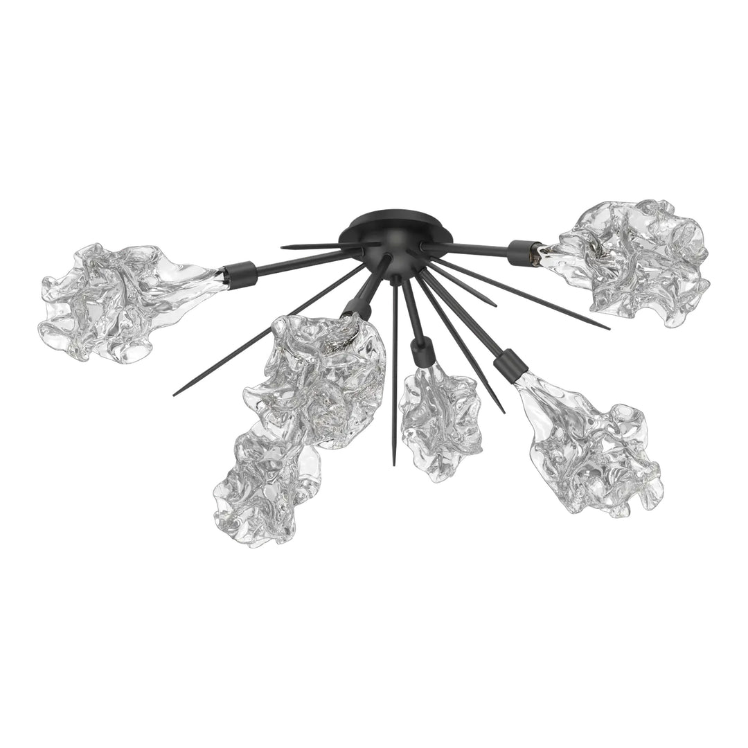 Blossom Half Starburst Flush Mount by Hammerton Studio in Matte Black with Clear Blossom glass