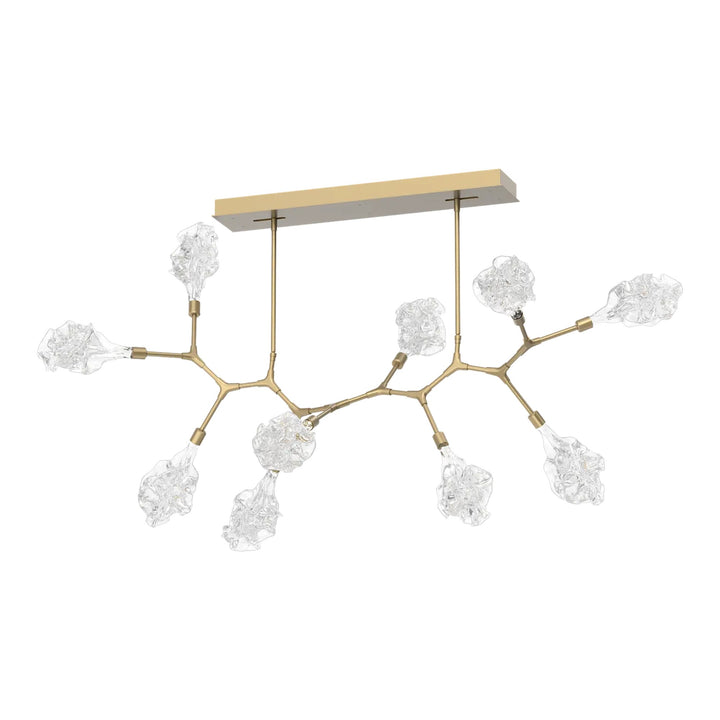 Blossom Modern Branch Chandelier by Hammerton Studio in Gilded Brass with Clear Blossom glass (10 Lights)