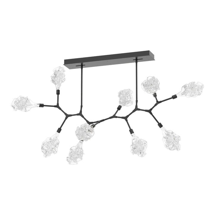 Blossom Modern Branch Chandelier by Hammerton Studio in Matte Black with Clear Blossom glass (10 Lights)