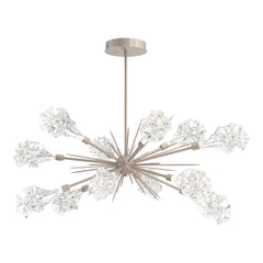 Blossom Oval Starburst Chandelier by Hammerton Studio in Beige Silver with Clear Blossom glass