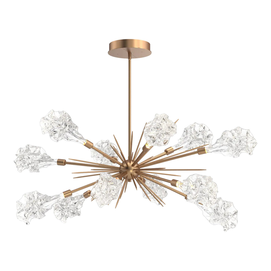 Blossom Oval Starburst Chandelier by Hammerton Studio in Novel Brass with Clear Blossom glass