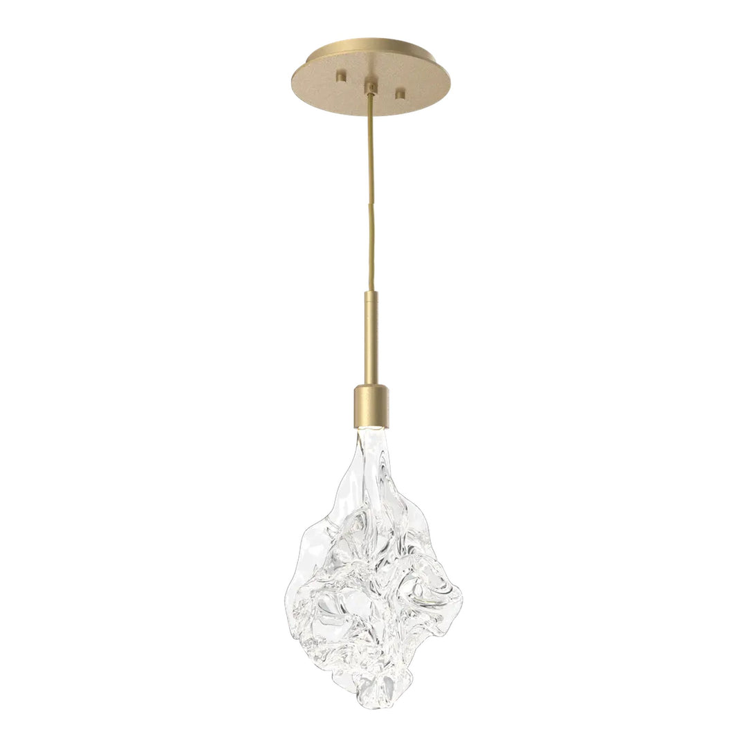 Blossom Pendant by Hammerton Studio in Gilded Brass with Clear Blossom glass on adjustable cord